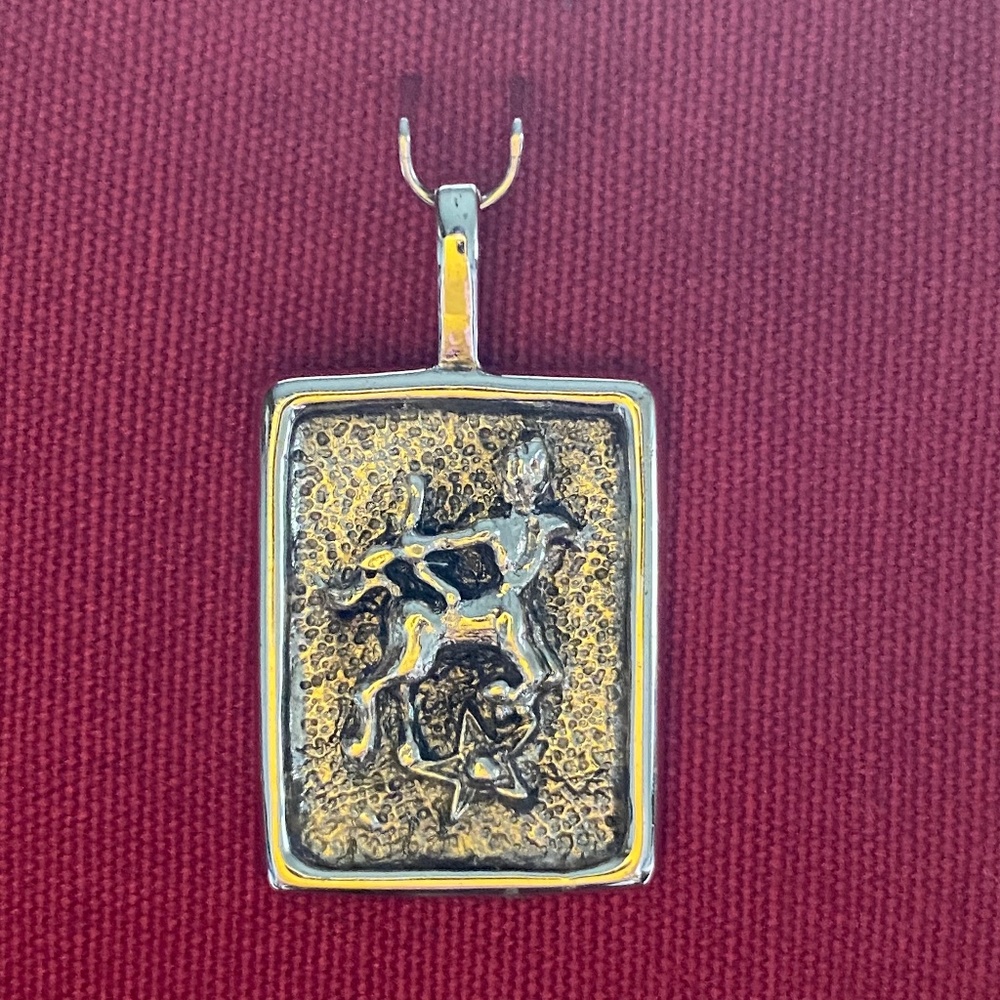 Sagittarius I Centaur I STG I Zodiac I Pendant